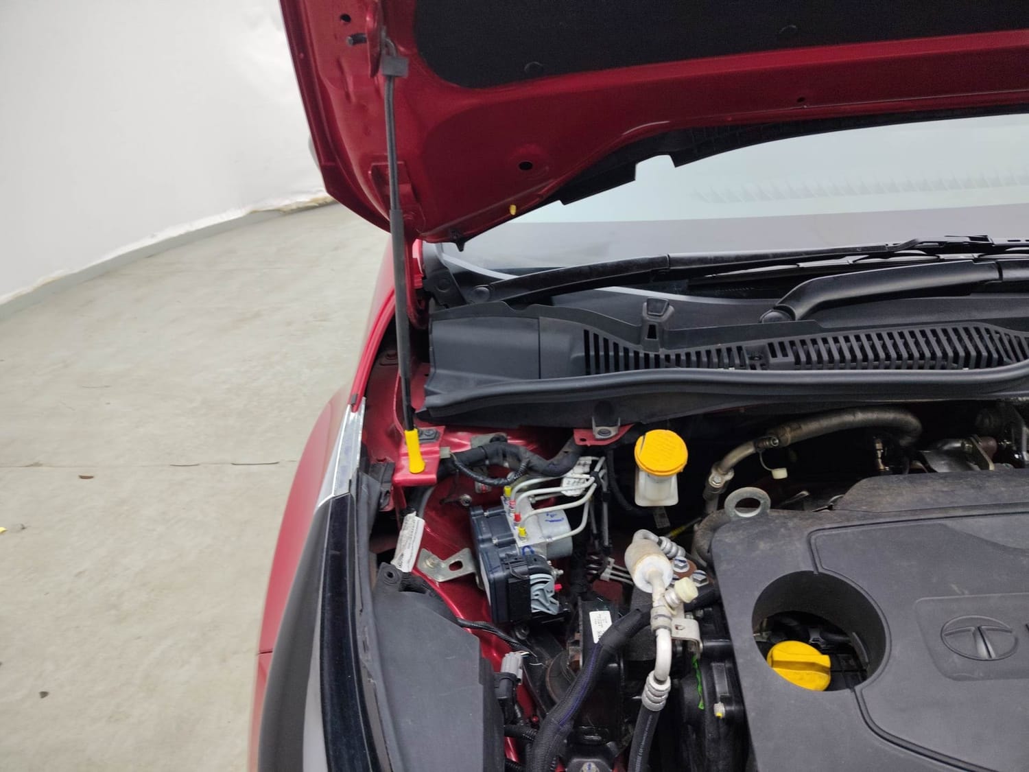 Altroz image 31 Altroz image 31