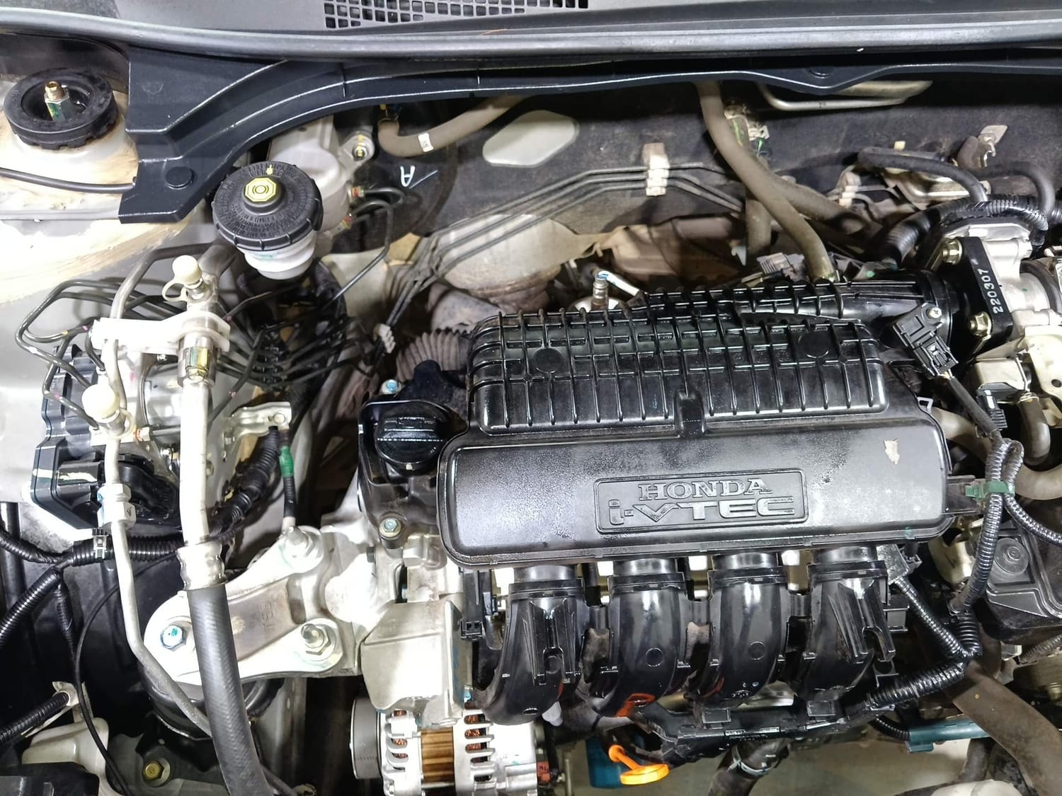 Amaze image 29 Amaze image 29