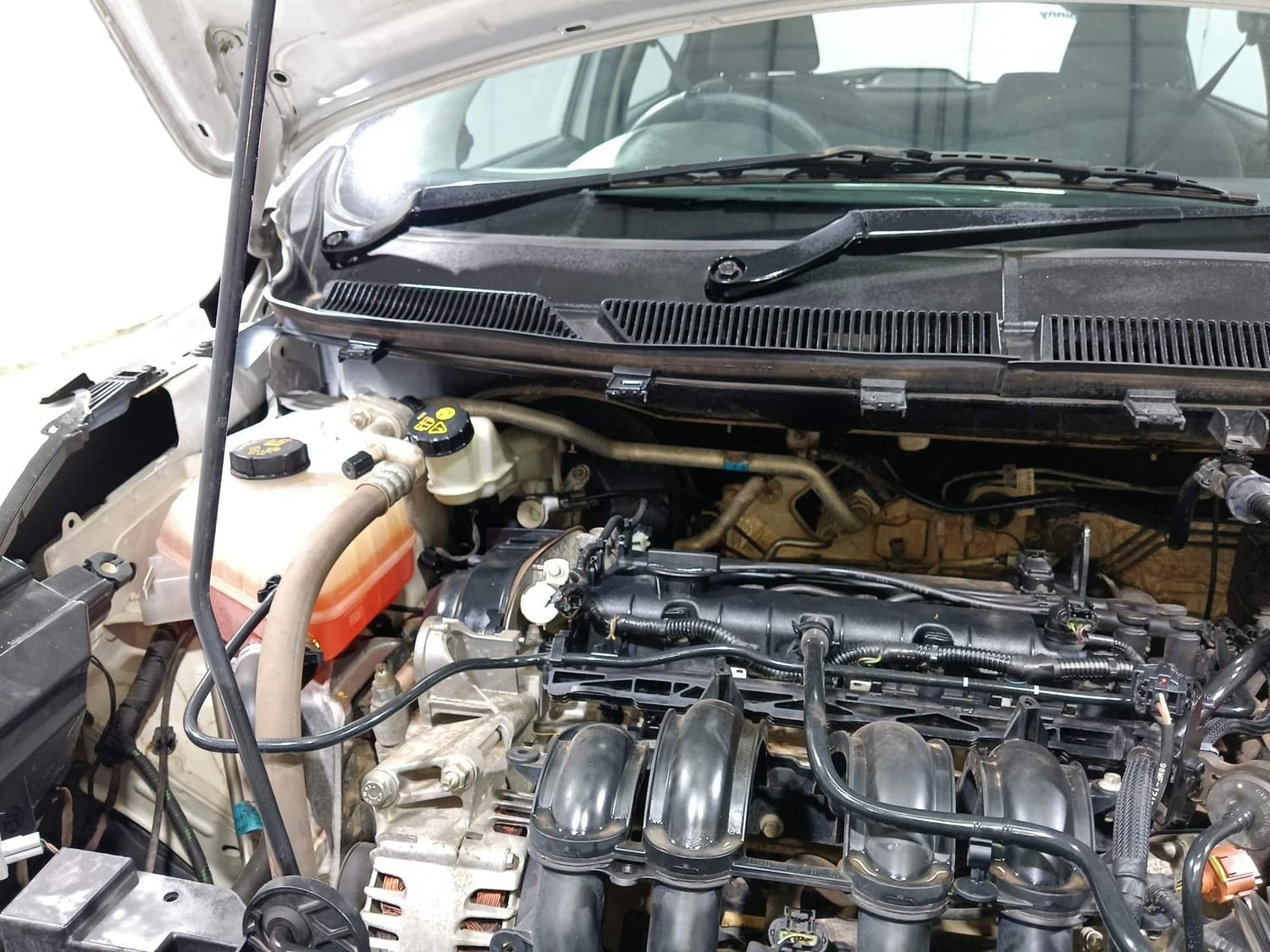 Figo image 31 Figo image 31