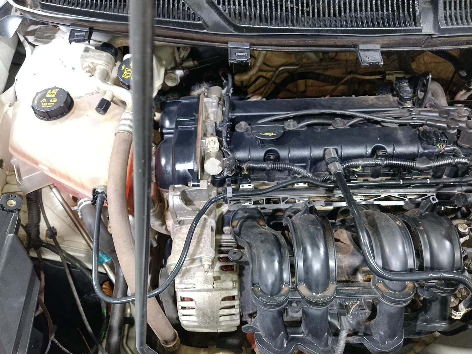 Figo image 29 Figo image 29