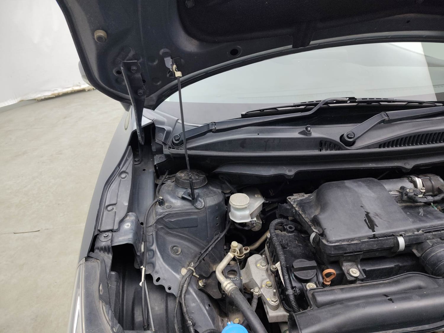 Baleno image 31 Baleno image 31