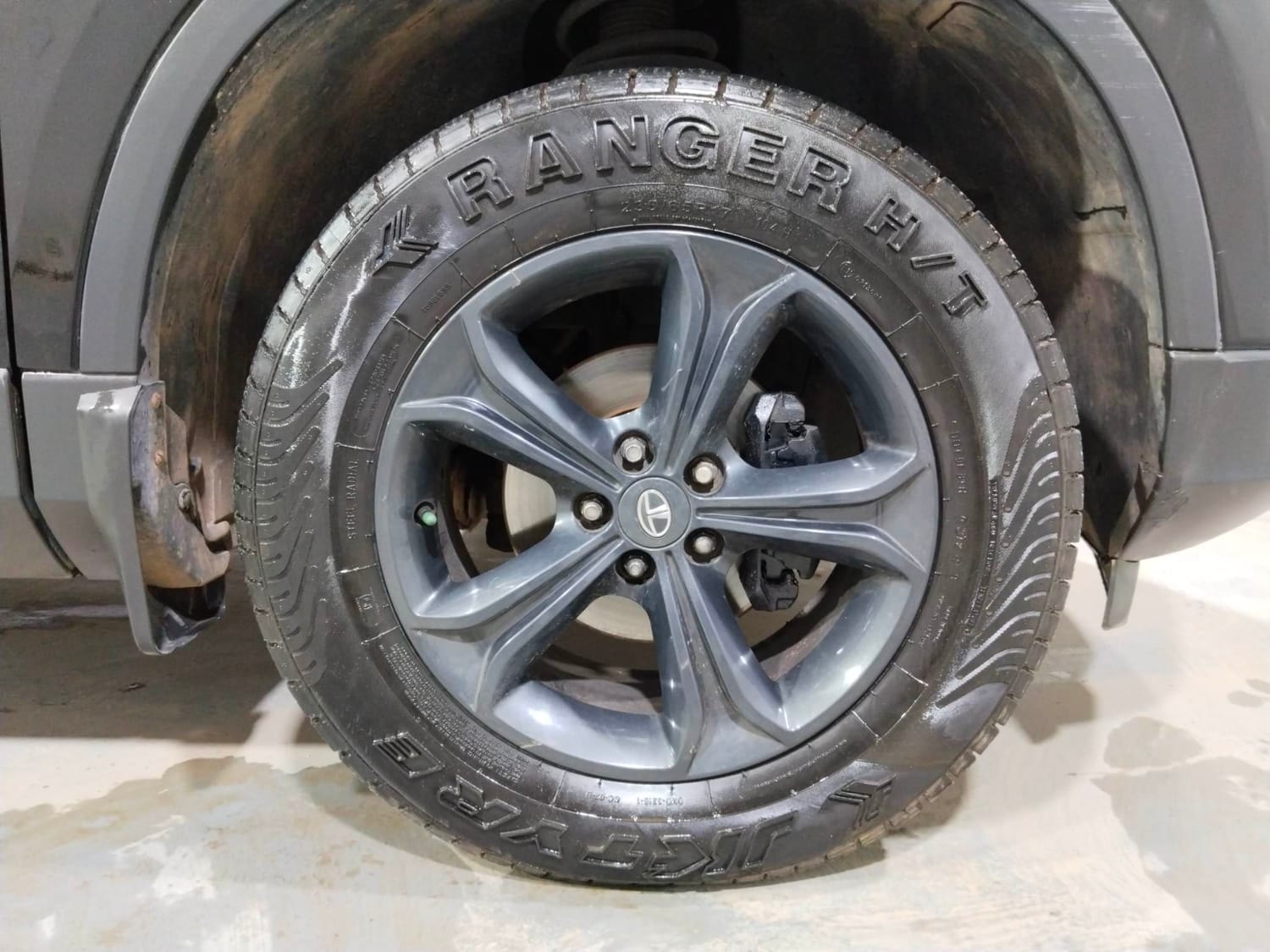 Harrier image 32 Harrier image 32