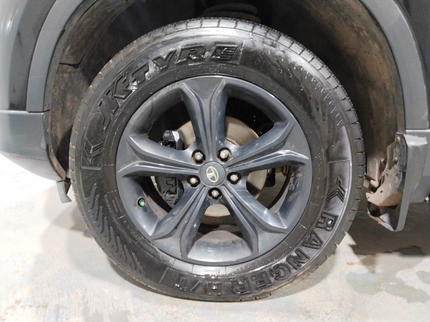 Harrier image 34 Harrier image 34