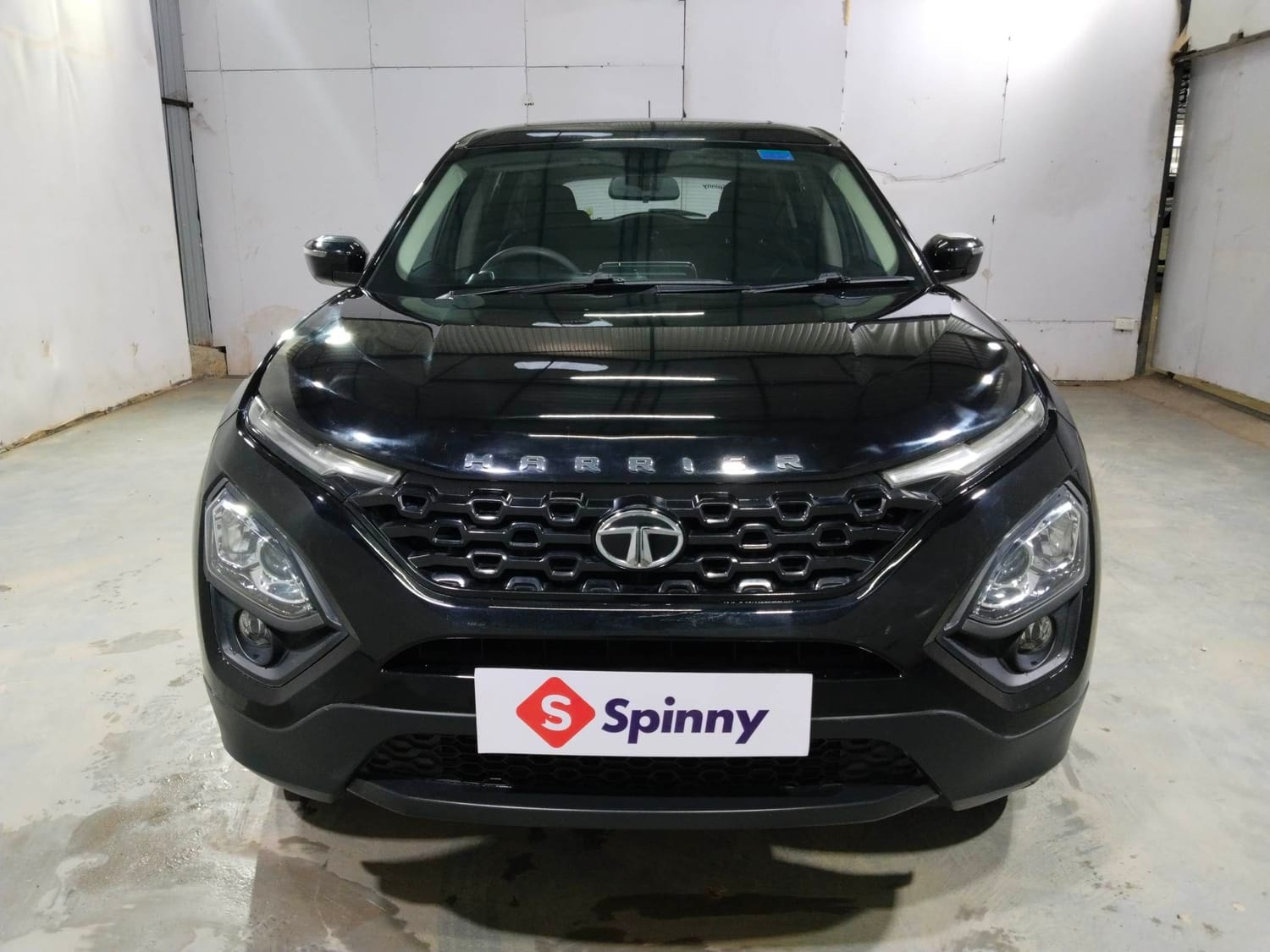 Harrier image 8 Harrier image 8