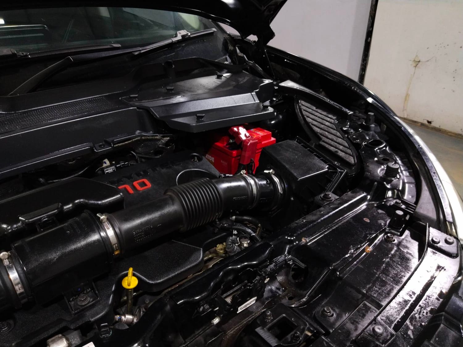 Harrier image 30 Harrier image 30