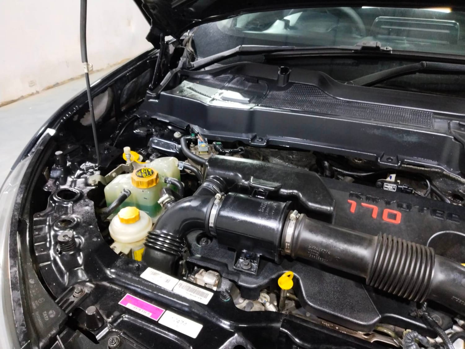 Harrier image 31 Harrier image 31