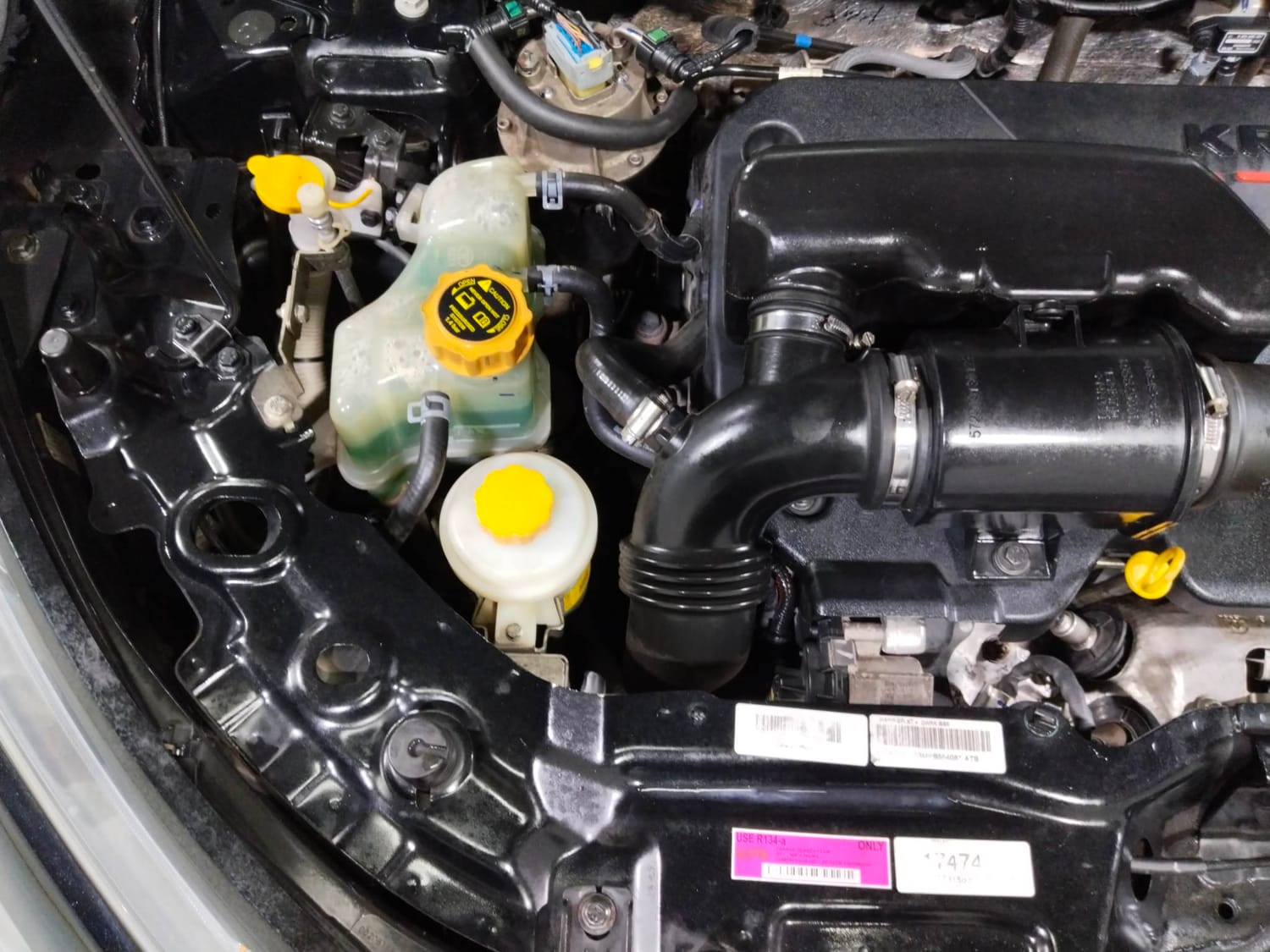 Harrier image 29 Harrier image 29