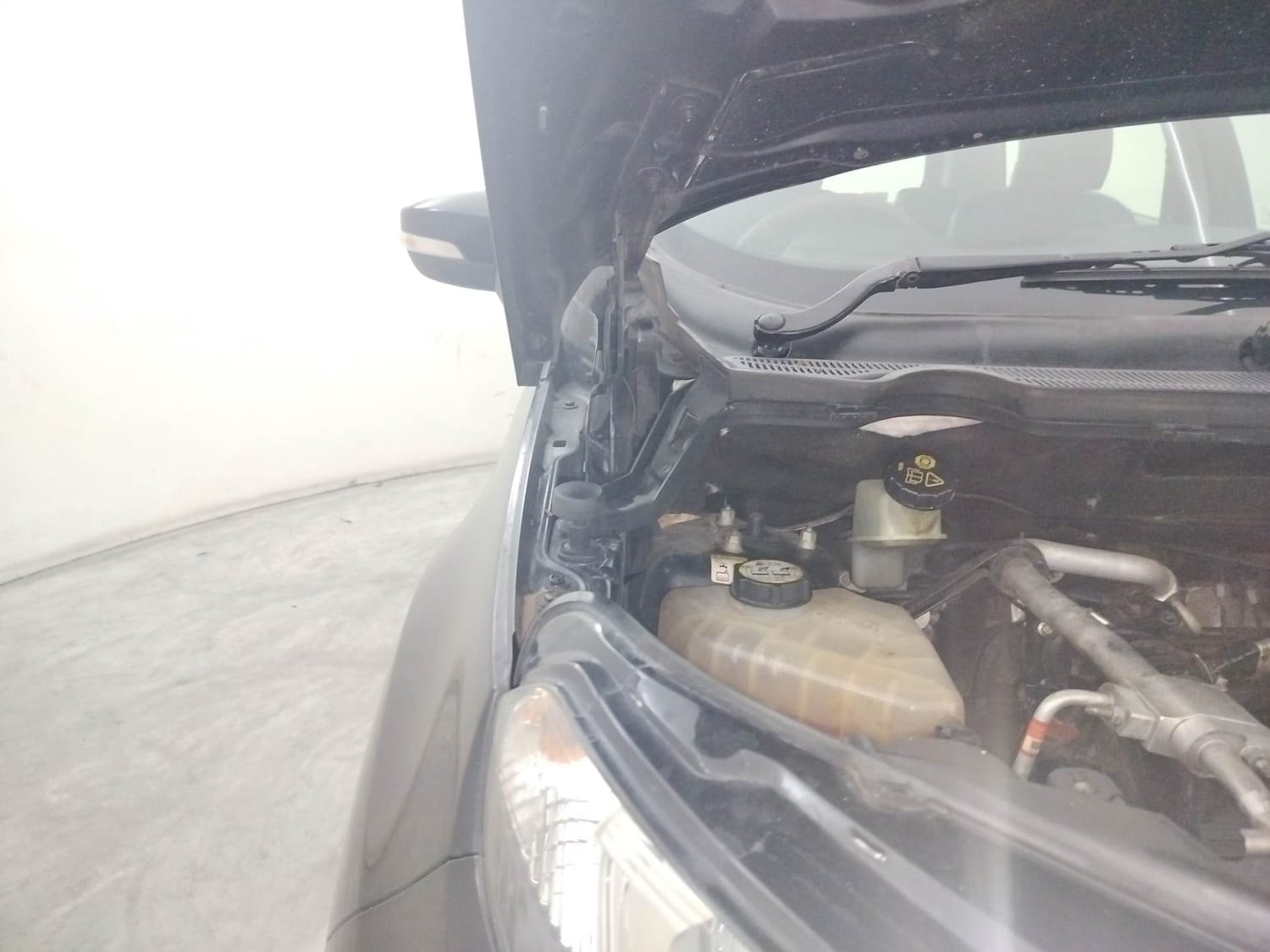 EcoSport image 31 EcoSport image 31