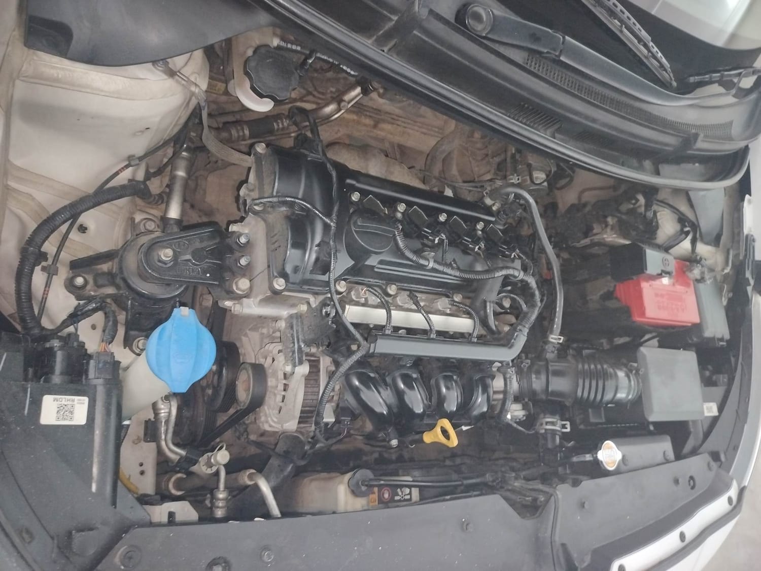 Elite i20 image 29 Elite i20 image 29