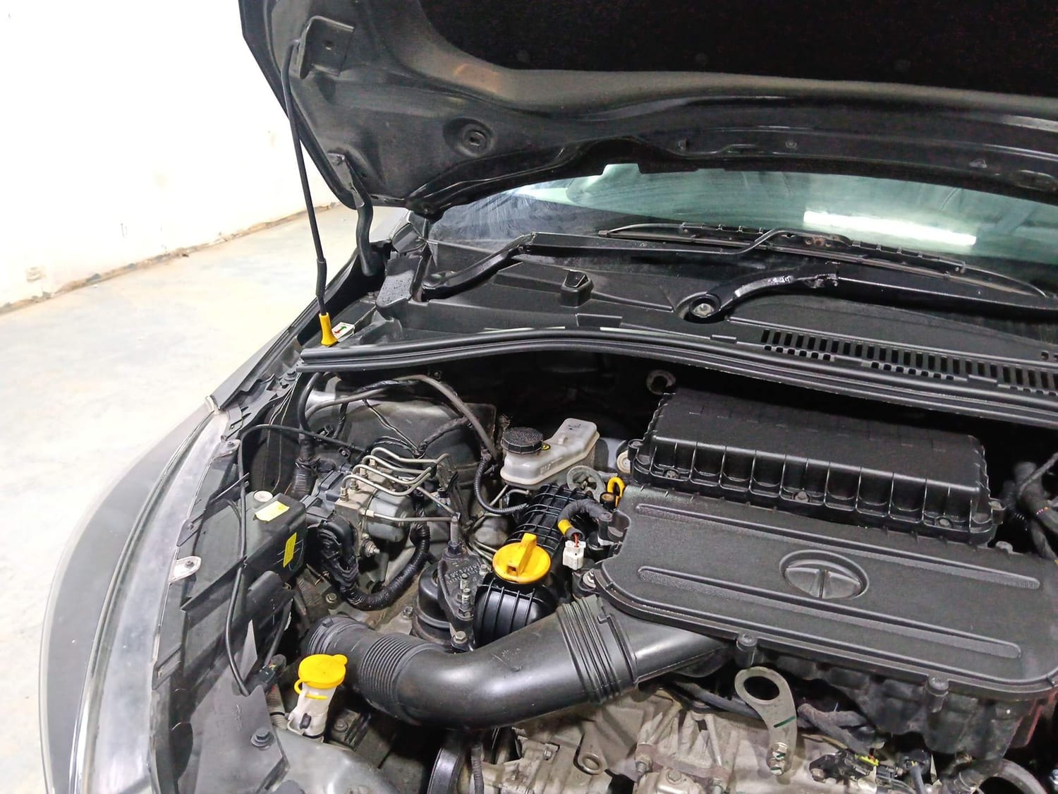 Tiago image 31 Tiago image 31