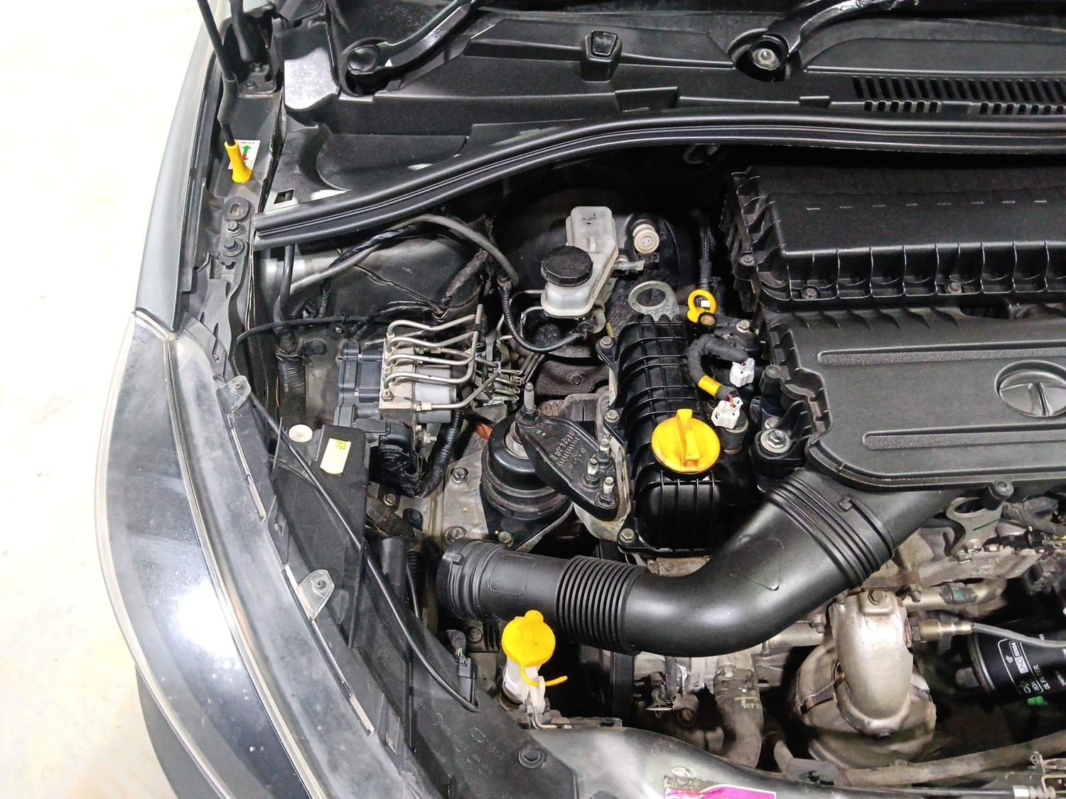 Tiago image 29 Tiago image 29