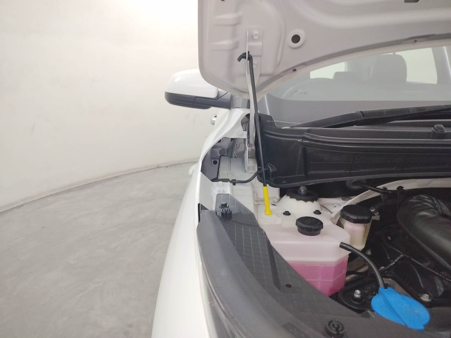 Exter image 31 Exter image 31