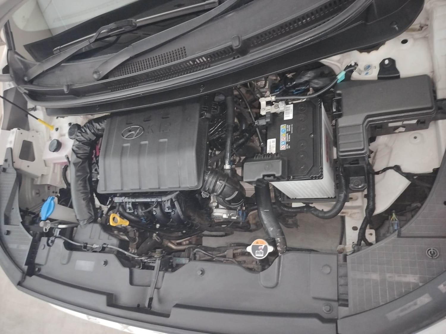 Exter image 28 Exter image 28