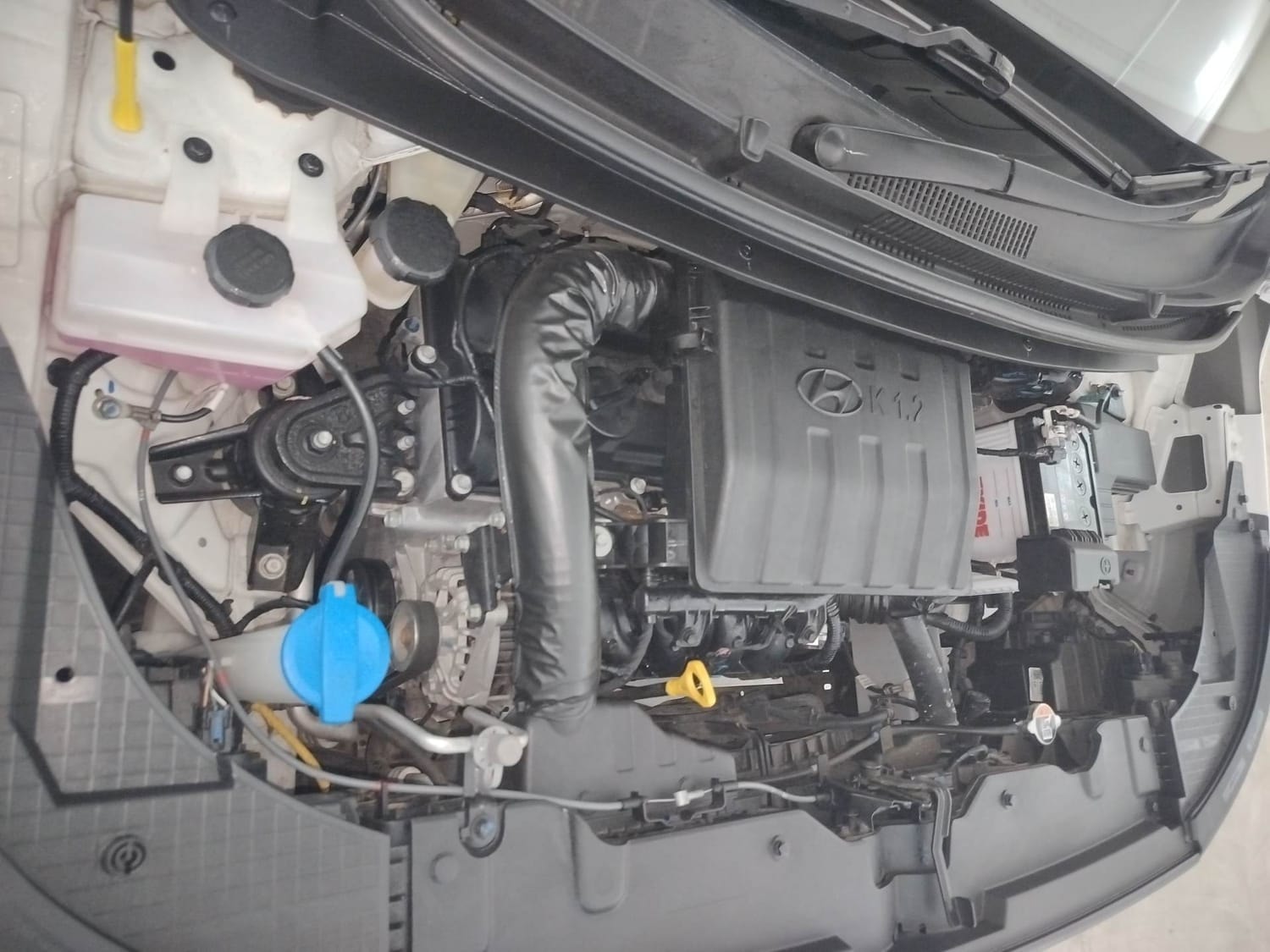 Exter image 29 Exter image 29