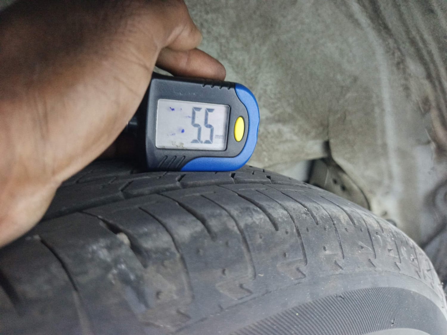 Celerio image 37 Celerio image 37