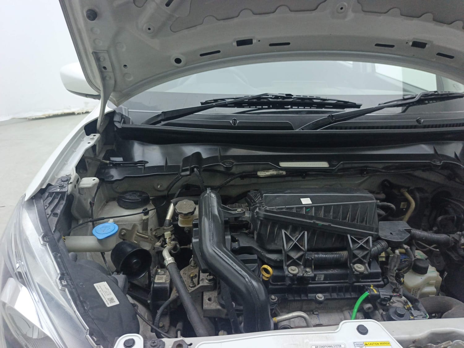 Celerio image 31 Celerio image 31