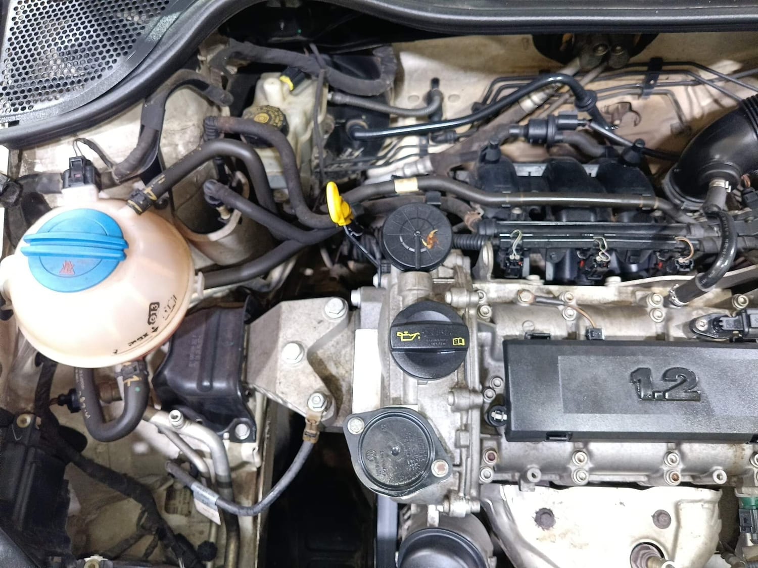 Polo image 29 Polo image 29