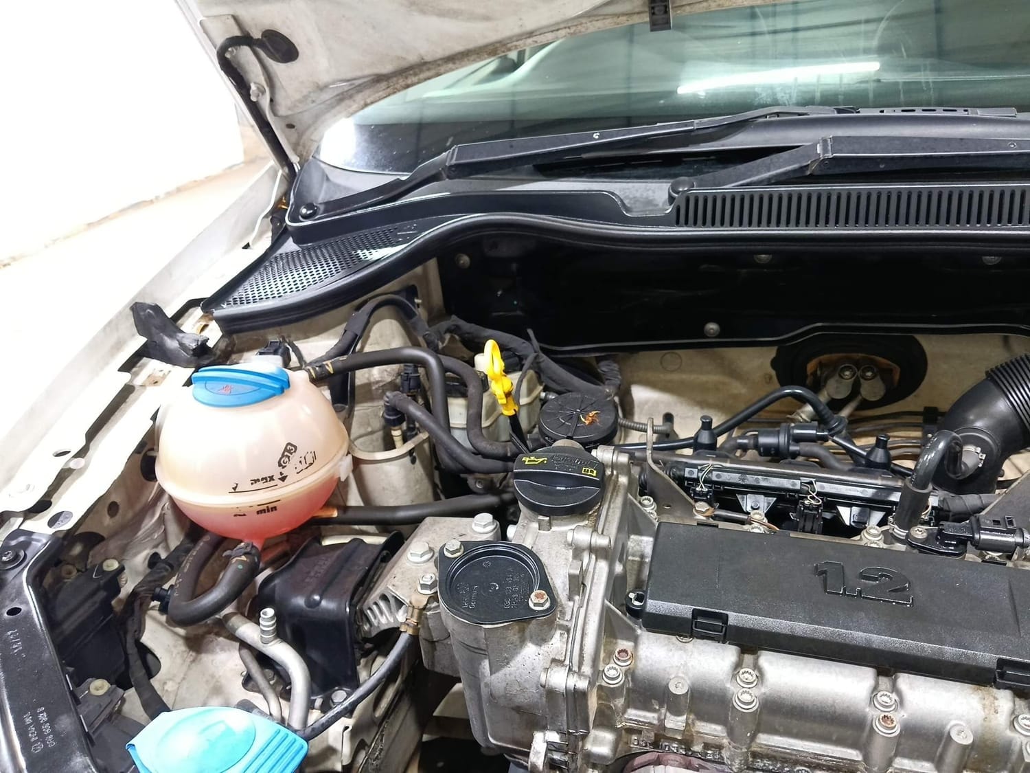 Polo image 31 Polo image 31