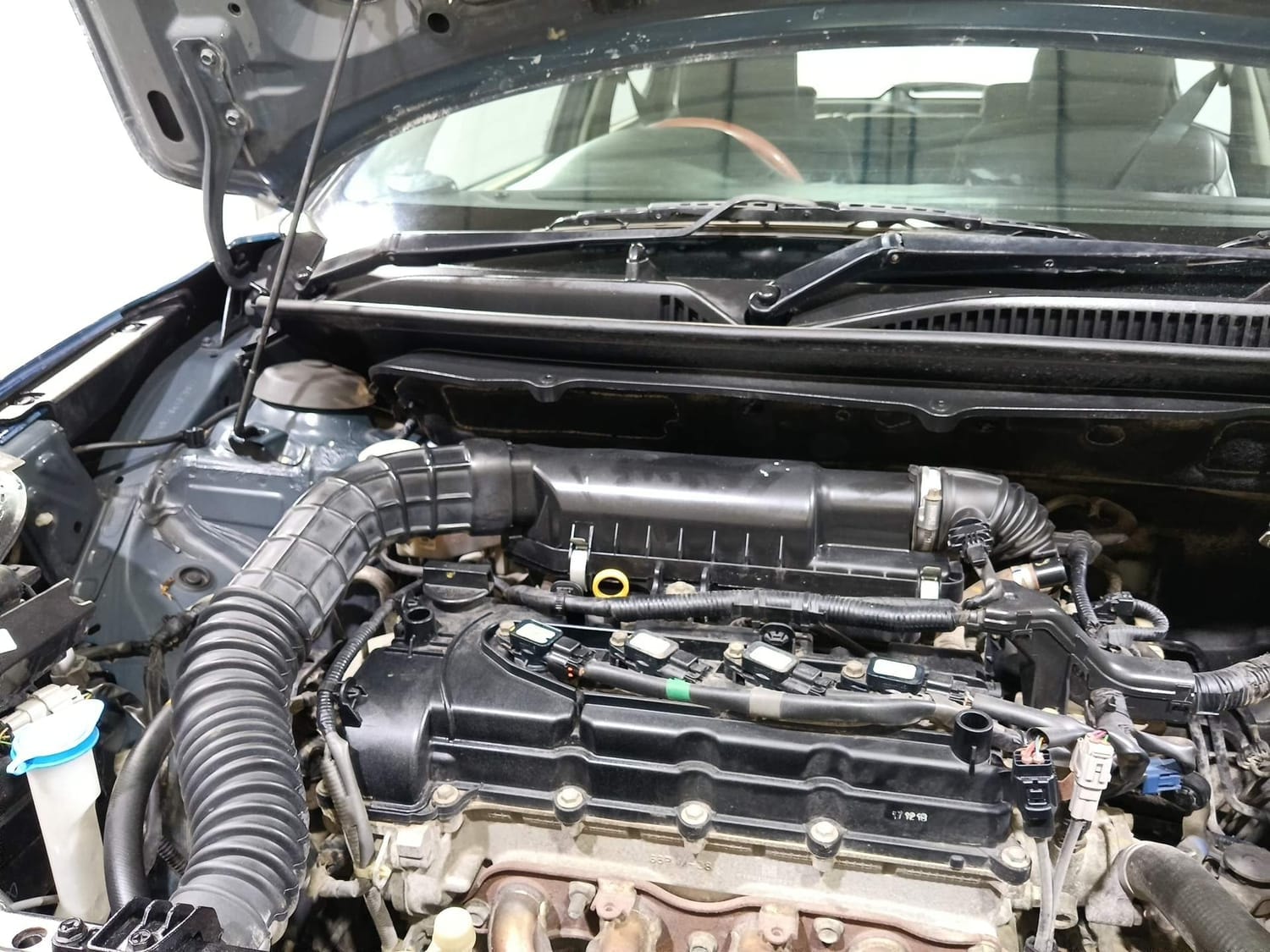 Baleno image 31 Baleno image 31