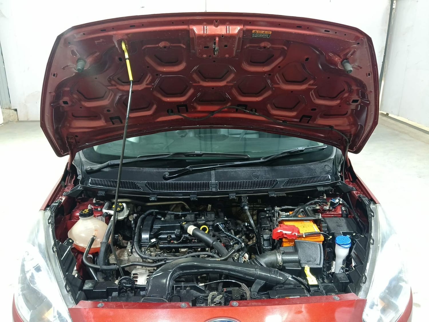 Figo image 27 Figo image 27