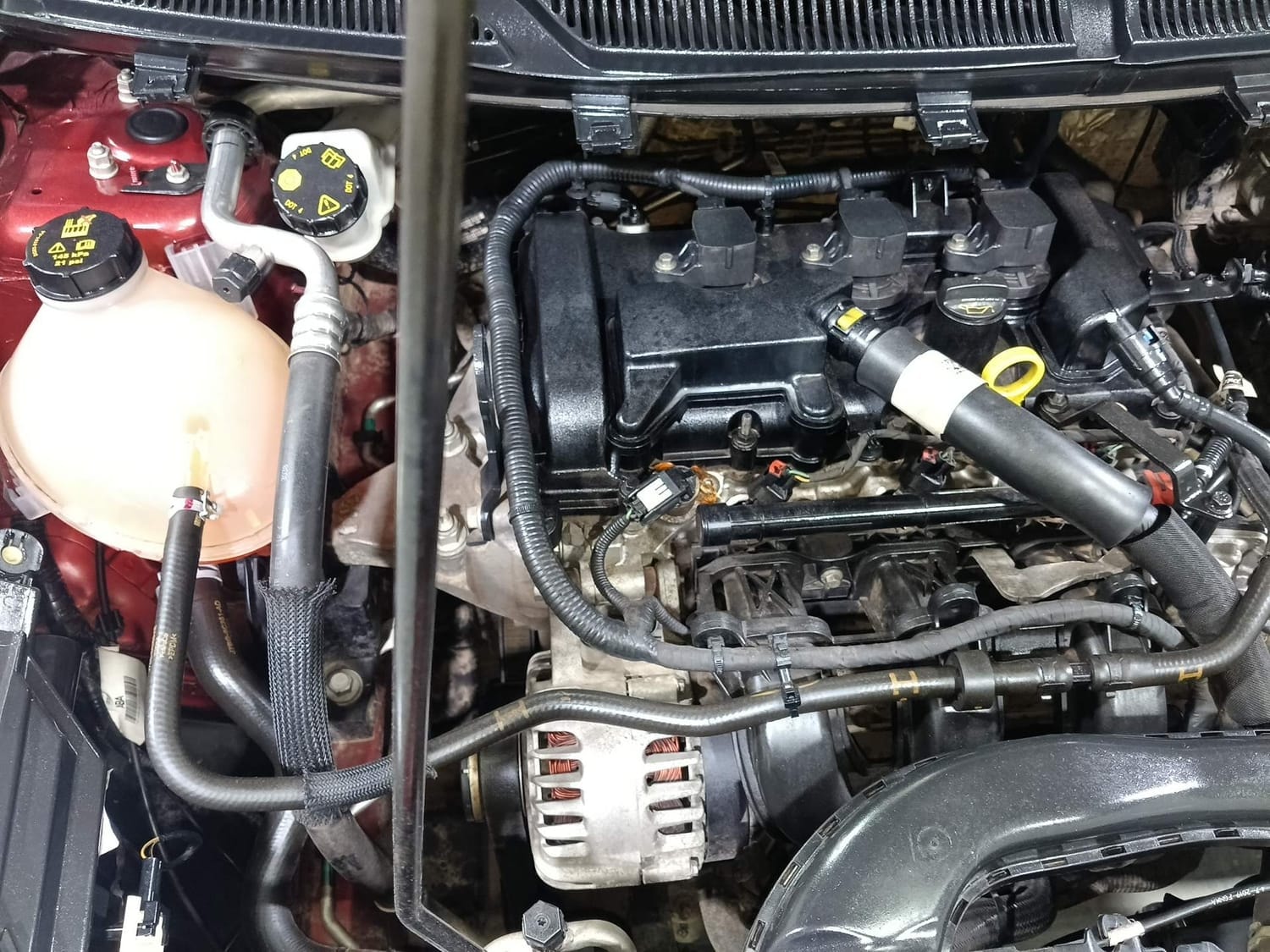 Figo image 29 Figo image 29