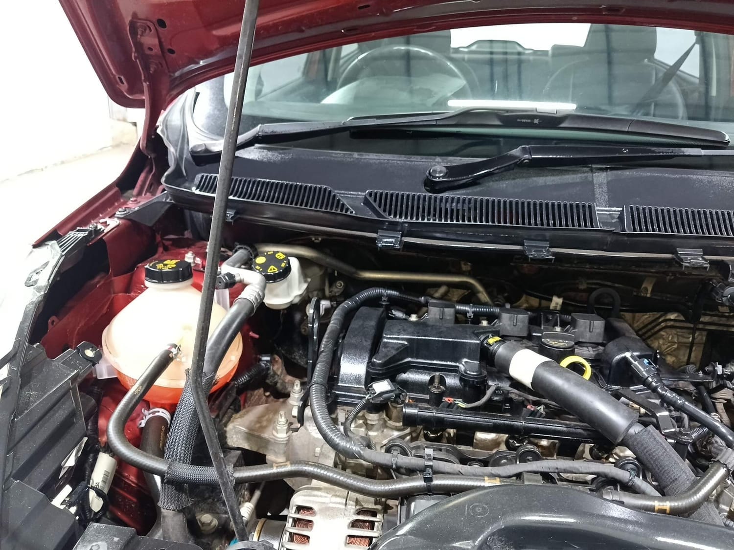 Figo image 31 Figo image 31