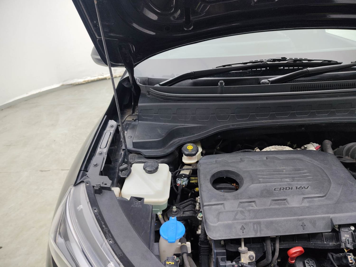 Sonet image 31 Sonet image 31