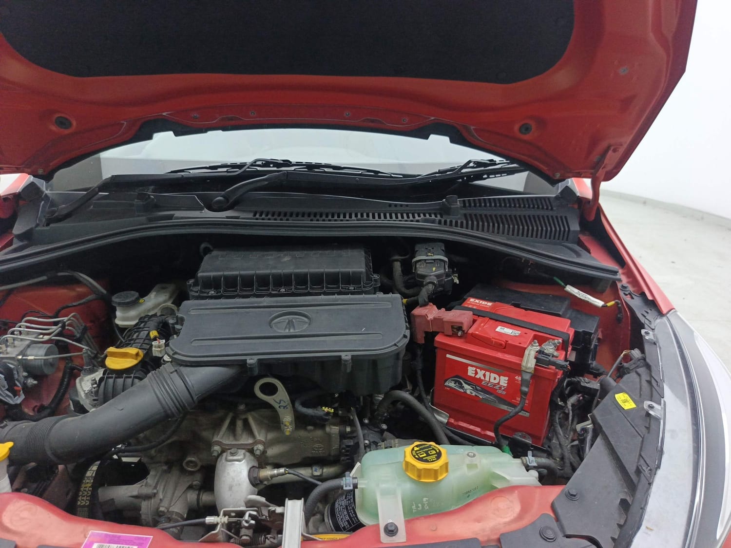 Tiago image 30 Tiago image 30