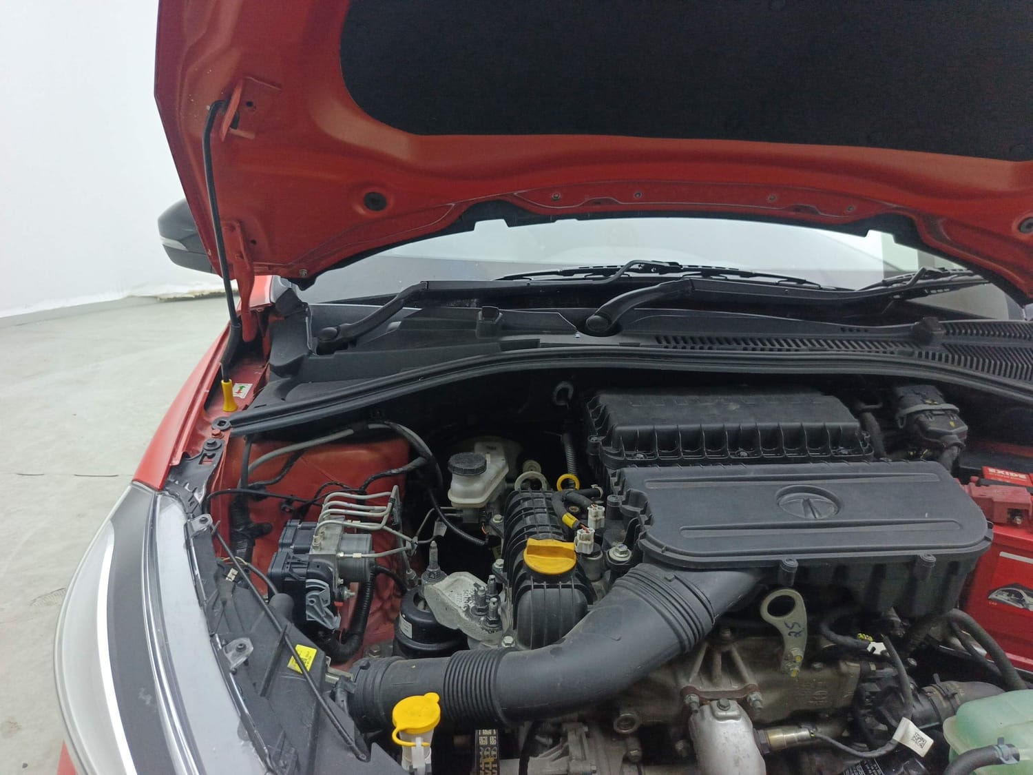 Tiago image 31 Tiago image 31