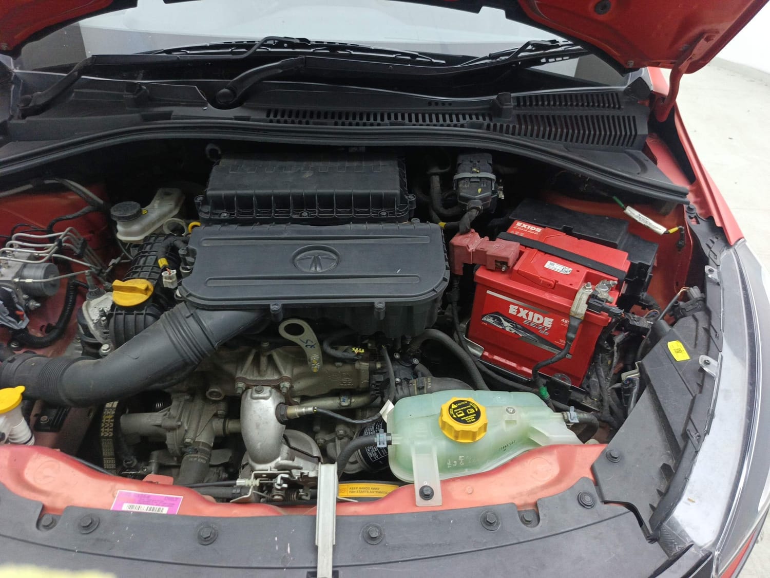 Tiago image 28 Tiago image 28