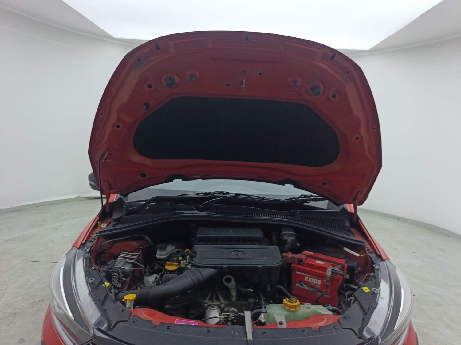 Tiago image 27 Tiago image 27