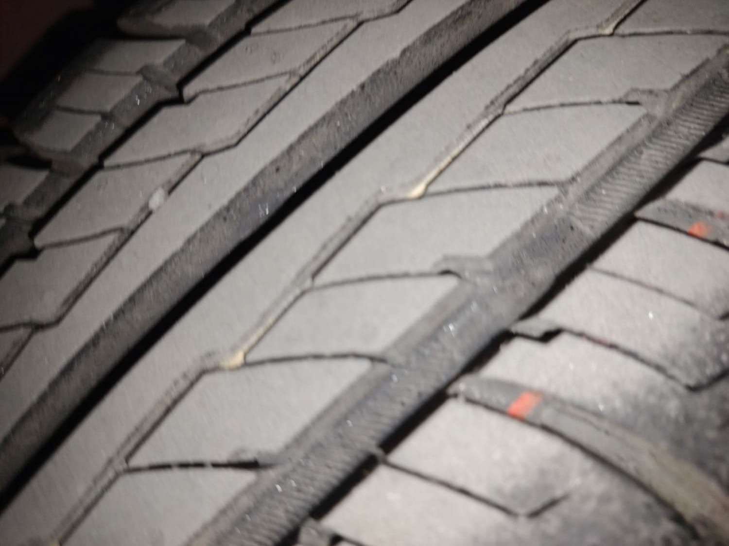 Celerio image 39 Celerio image 39