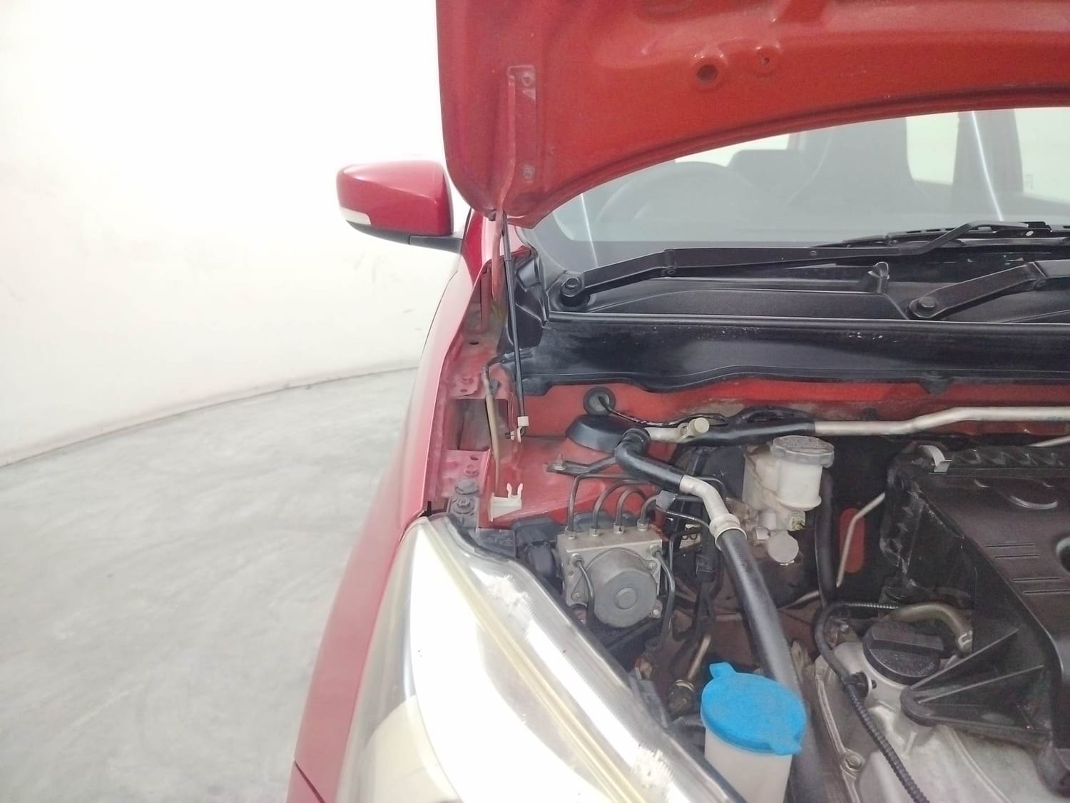 Celerio image 31 Celerio image 31