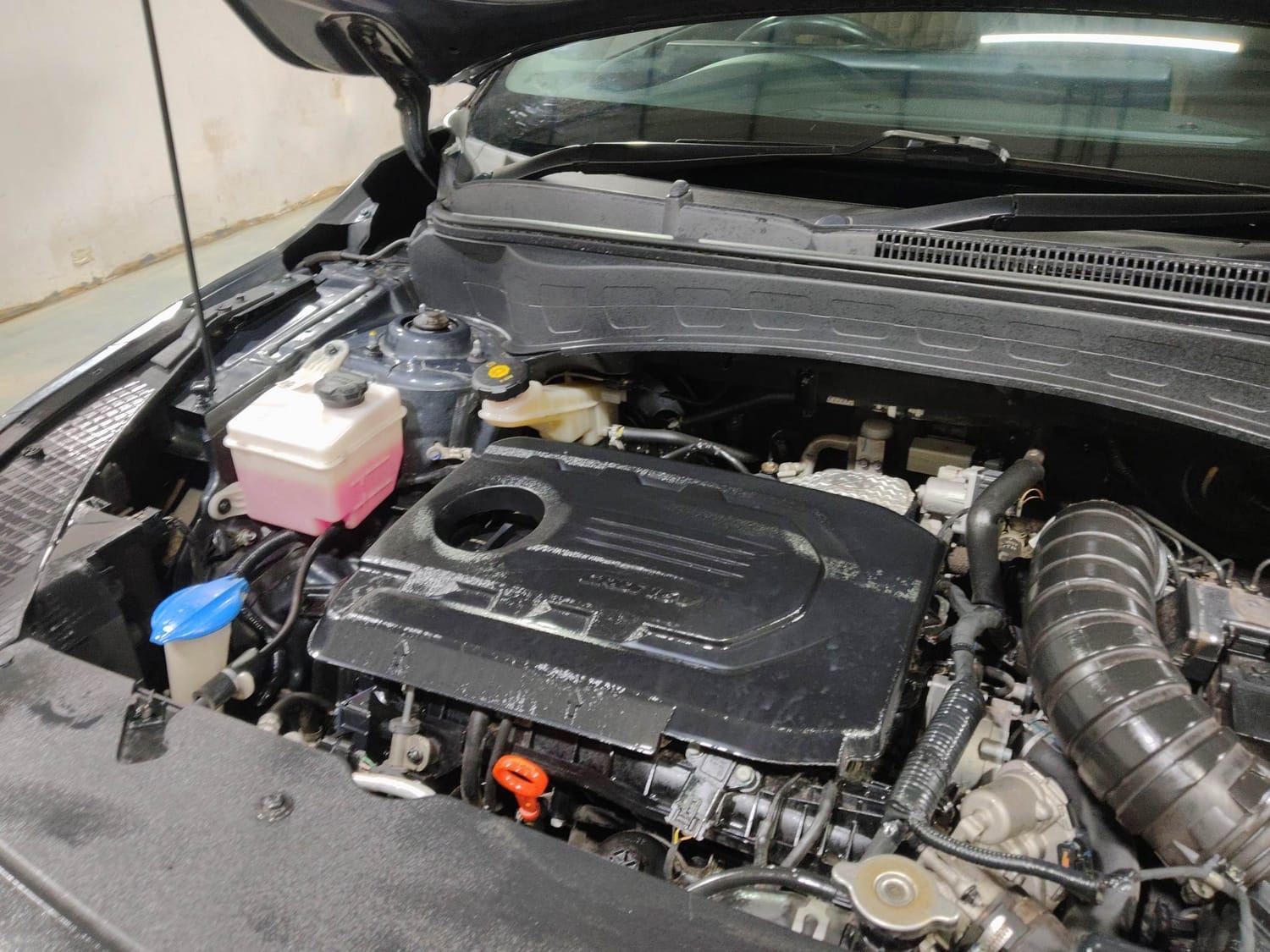 Used 2022 Kia Seltos Used 2022 Kia Seltos