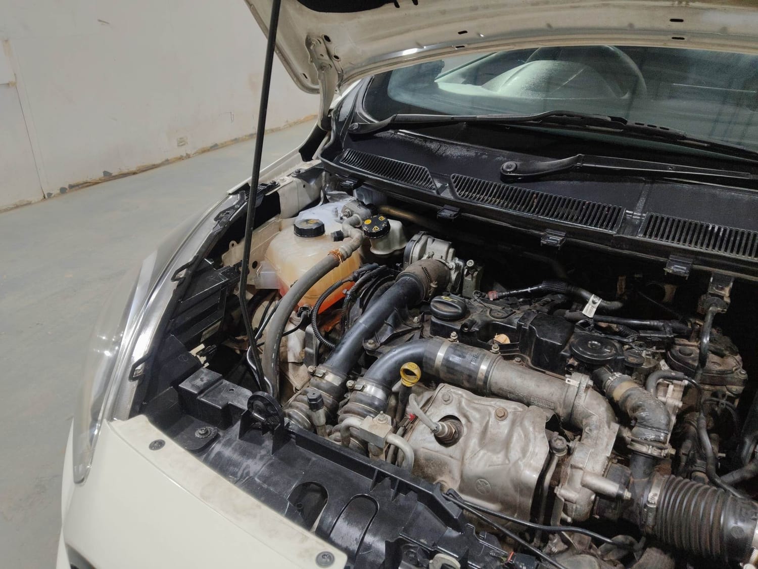 Freestyle image 29 Freestyle image 29