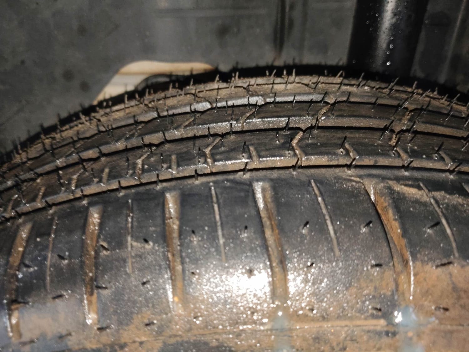 Freestyle image 39 Freestyle image 39