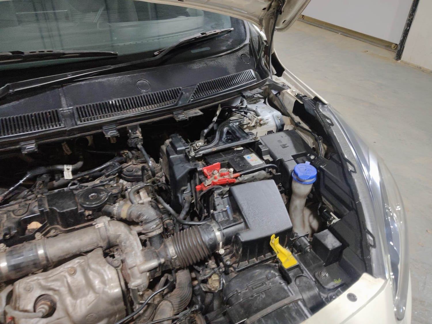 Freestyle image 28 Freestyle image 28