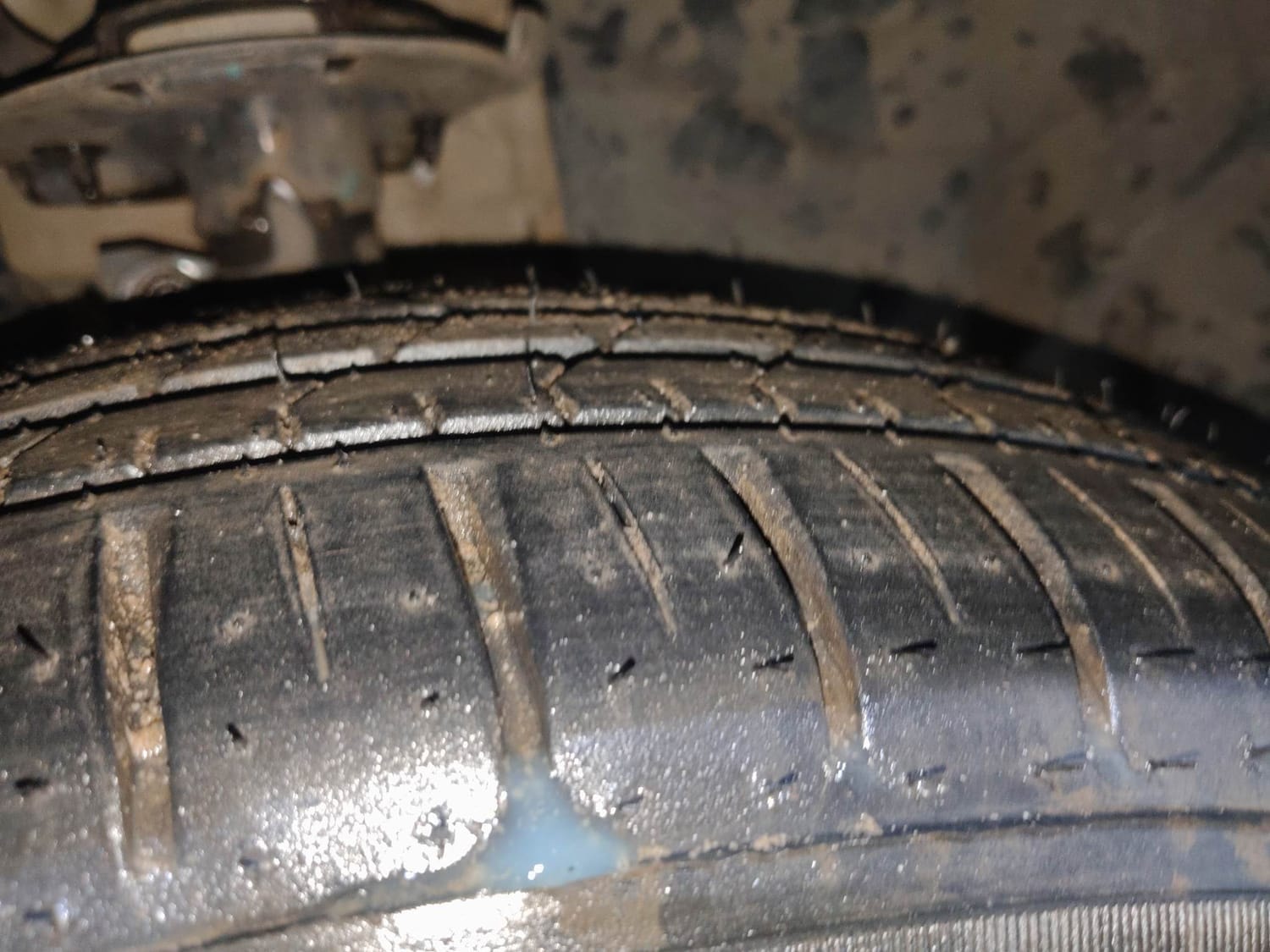 Freestyle image 36 Freestyle image 36