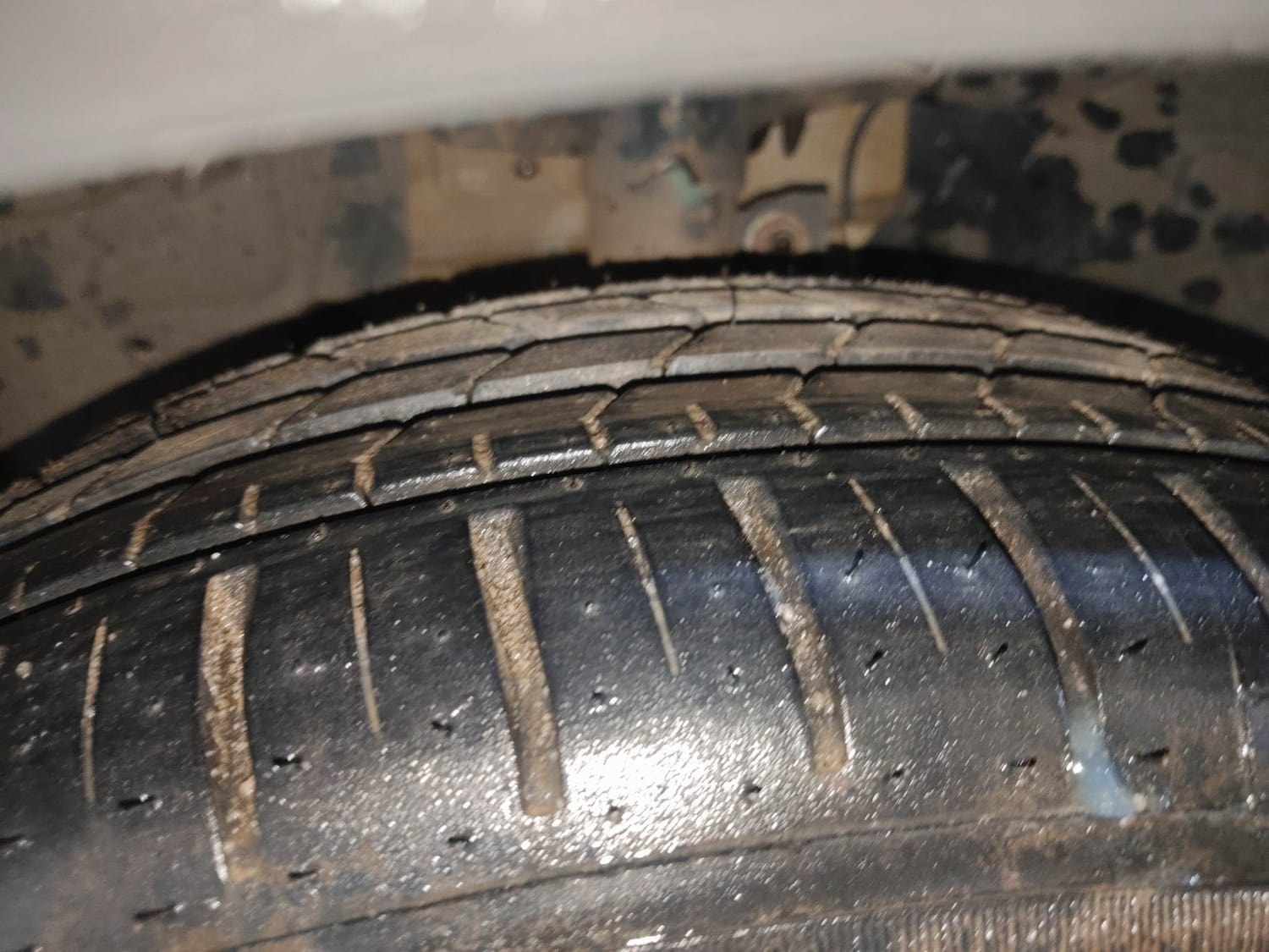 Freestyle image 38 Freestyle image 38