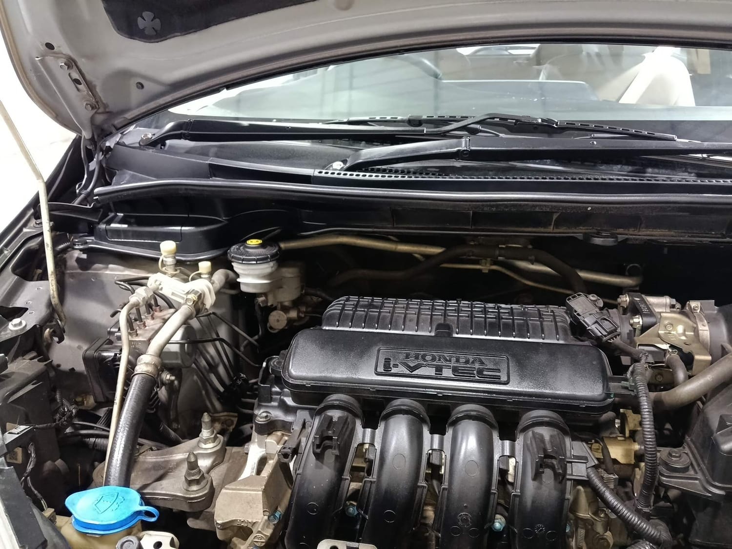 Jazz image 31 Jazz image 31