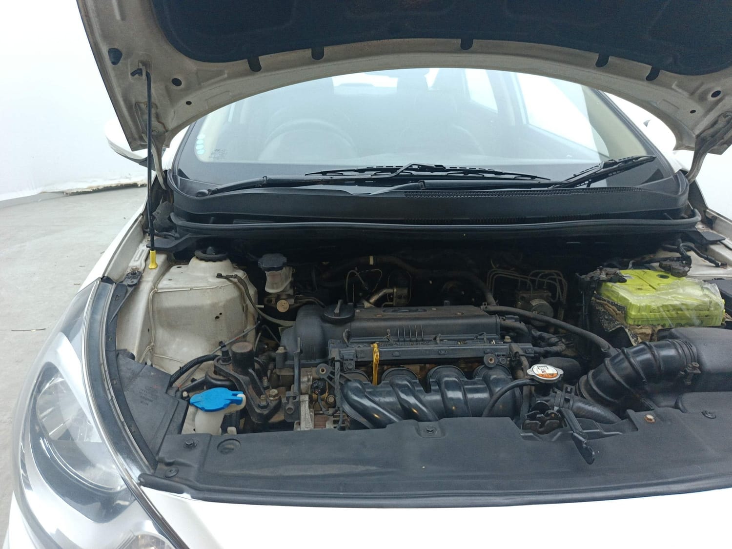 Fluidic Verna image 31 Fluidic Verna image 31