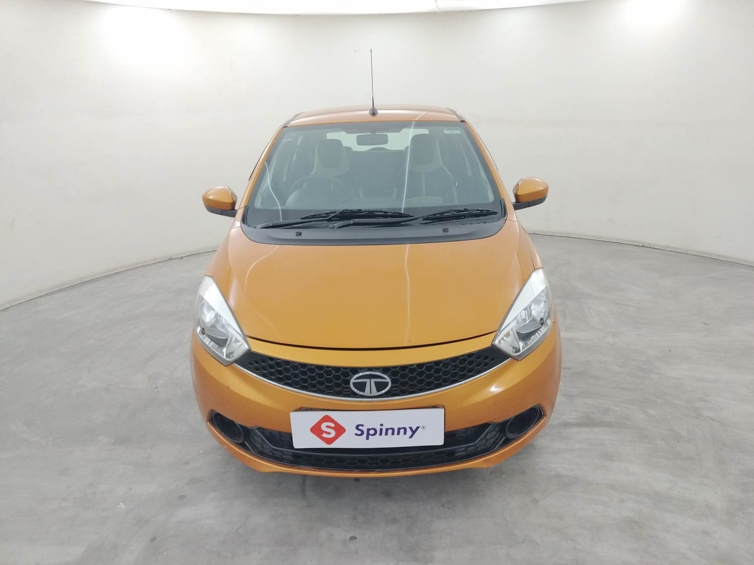 Tiago image 8 Tiago image 8