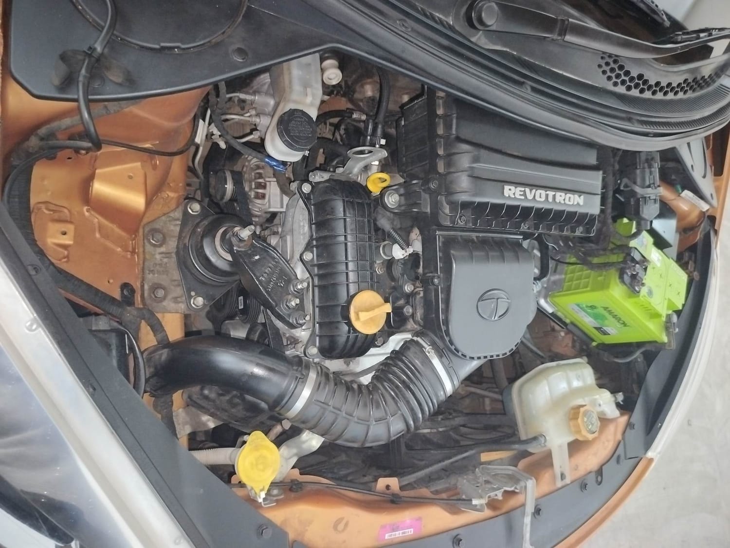 Tiago image 29 Tiago image 29