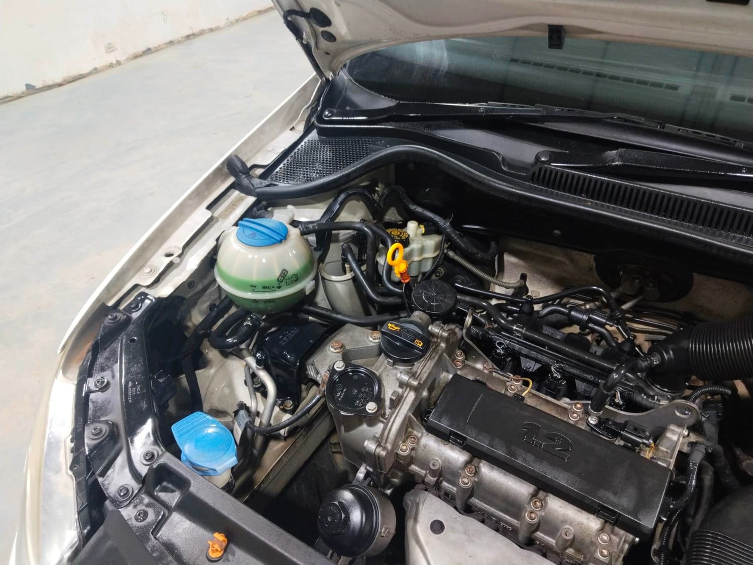 Polo image 31 Polo image 31