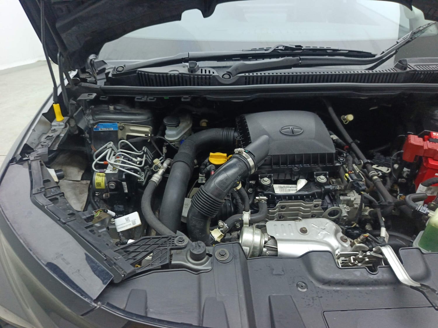 Nexon image 29 Nexon image 29