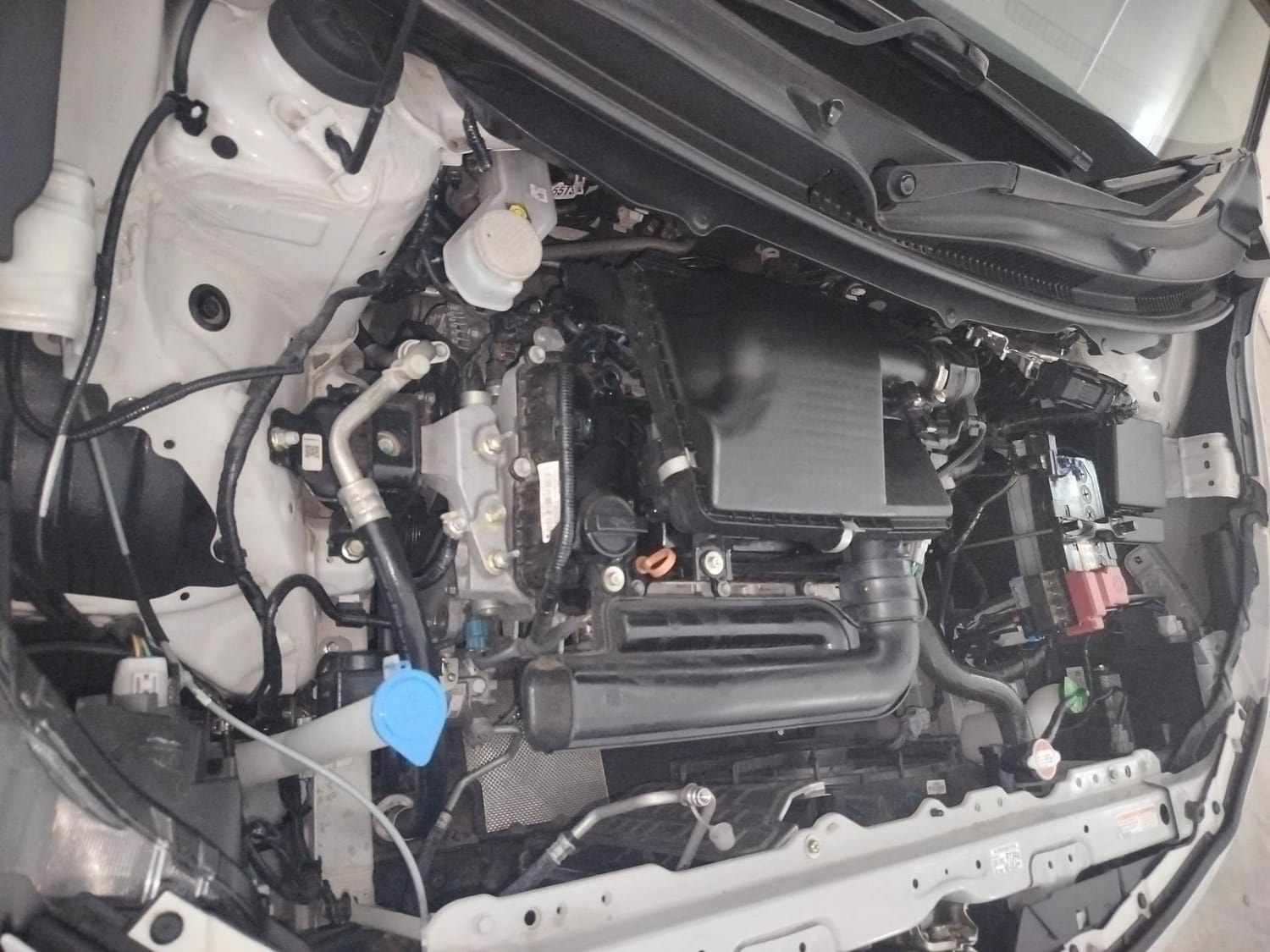 Glanza image 29 Glanza image 29