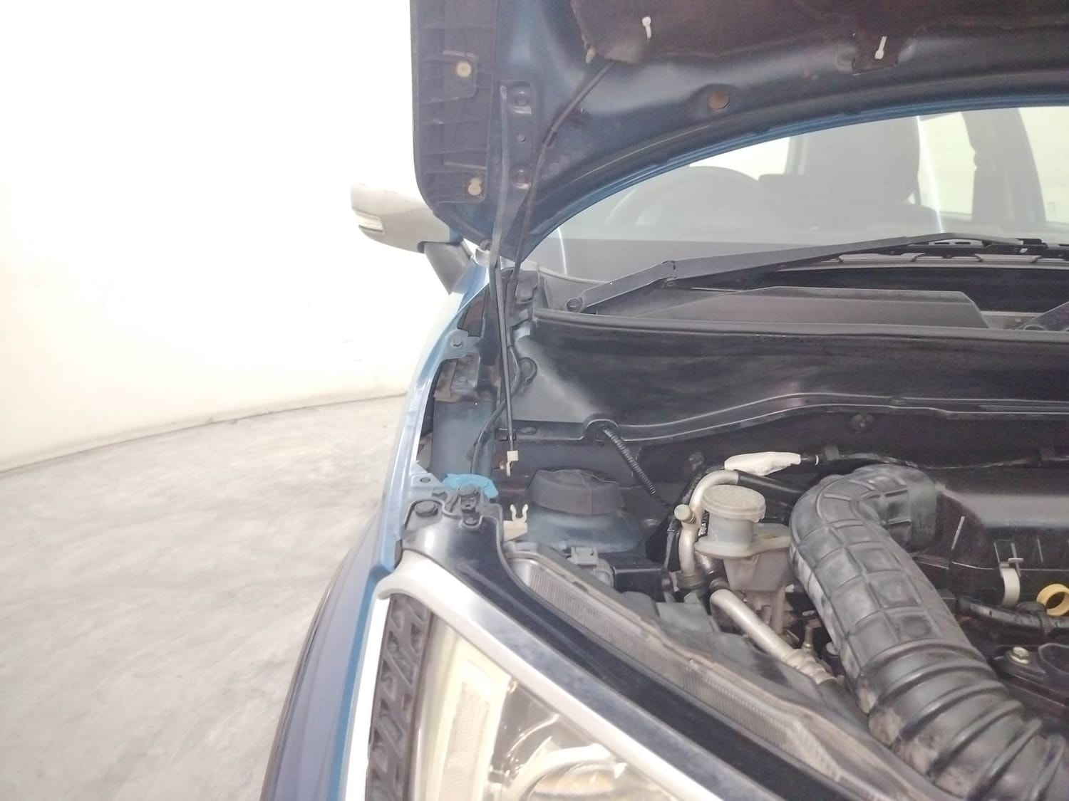 Ignis image 31 Ignis image 31