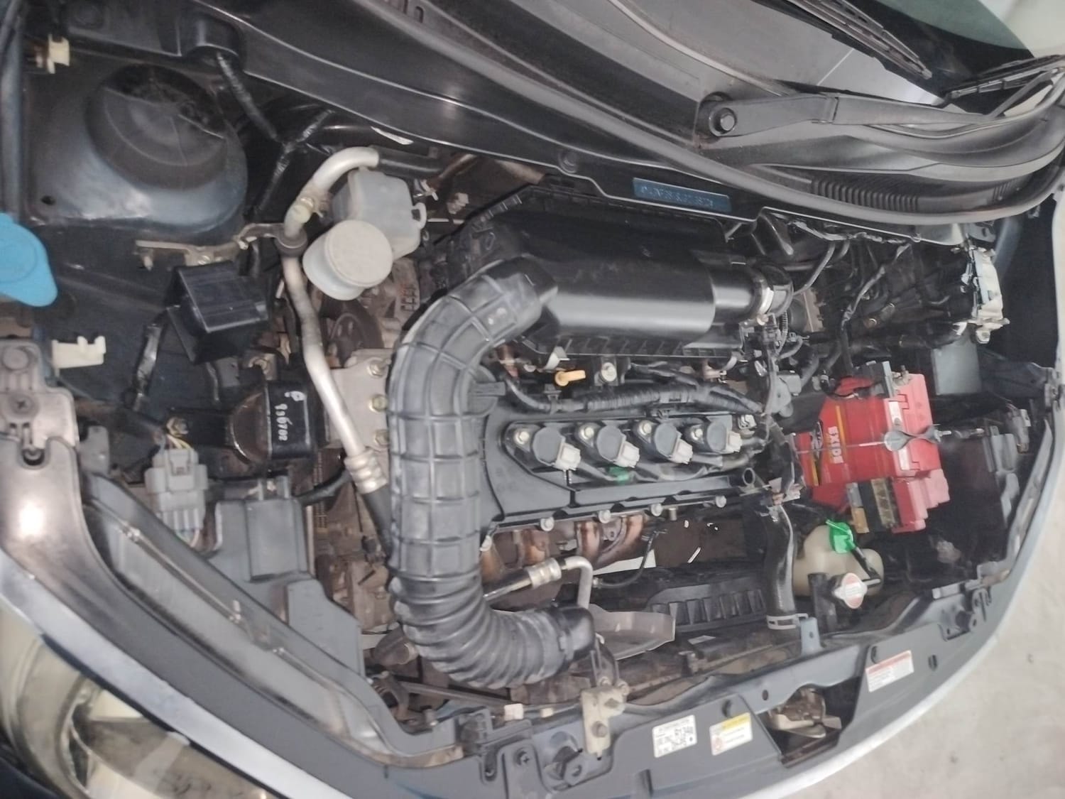 Ignis image 29 Ignis image 29