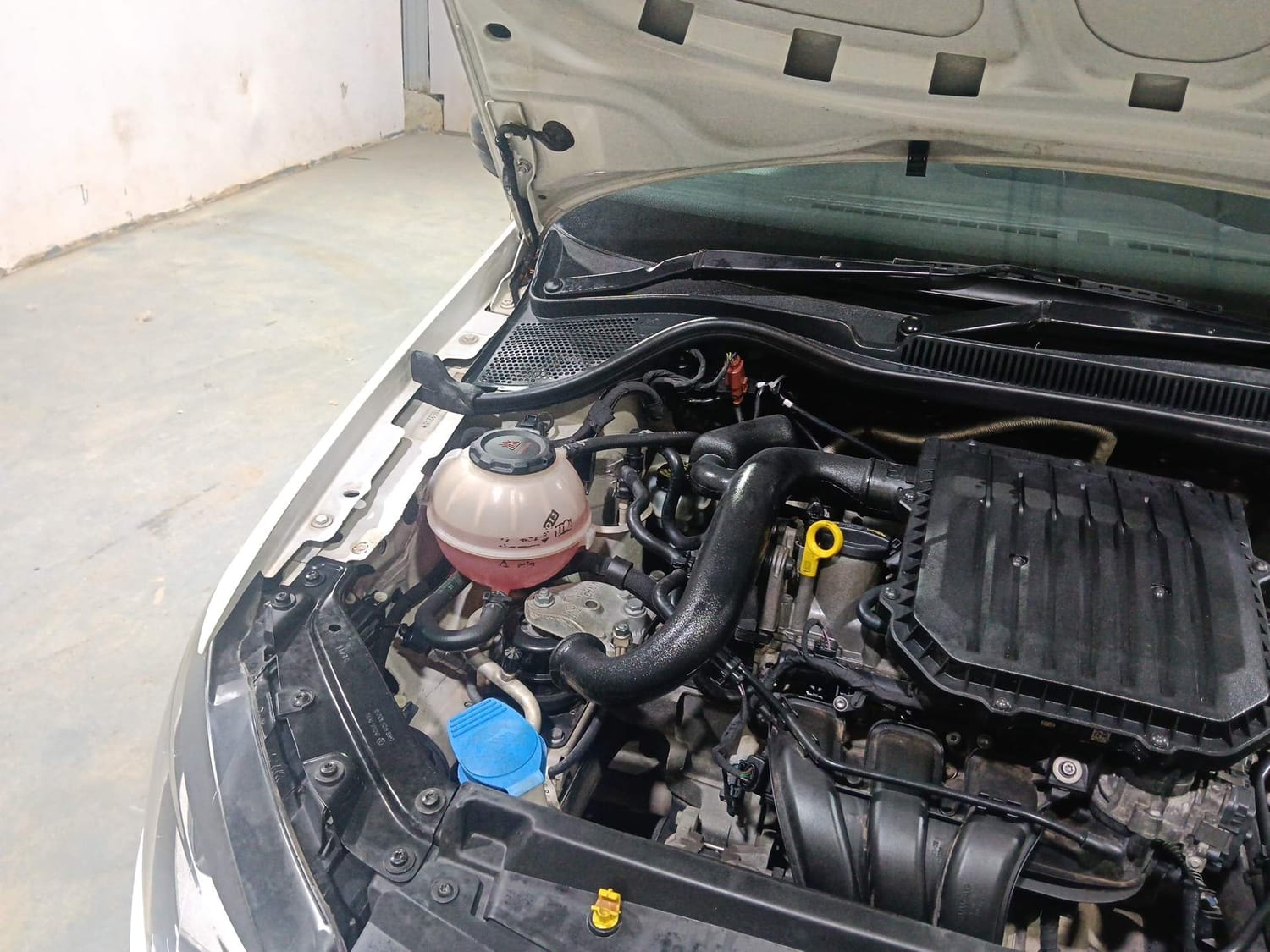 Polo image 31 Polo image 31