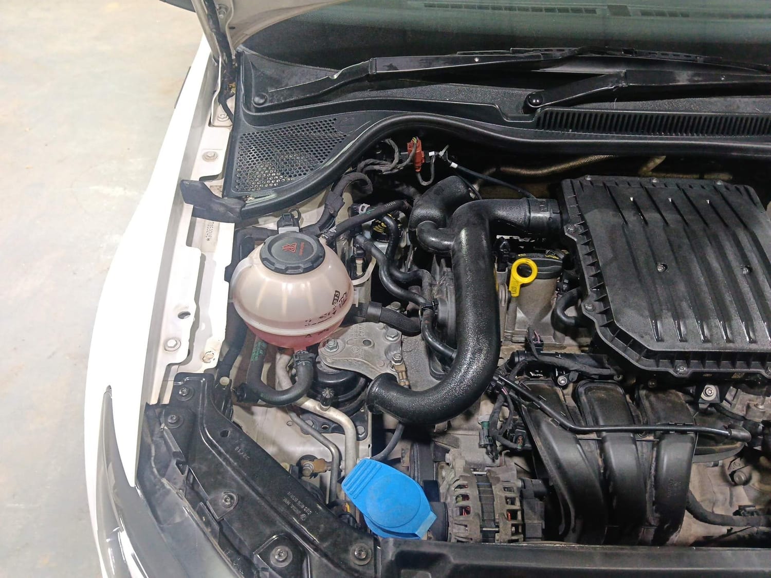 Polo image 29 Polo image 29